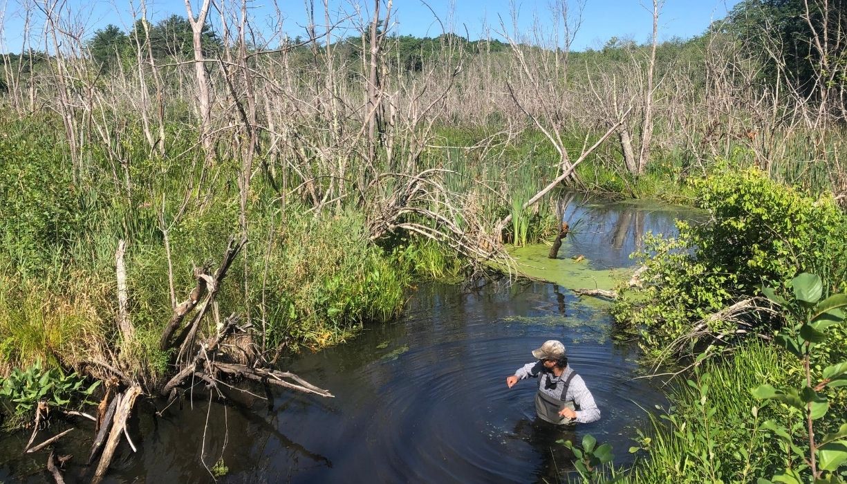 Increasing Regional Flood Resiliency In the Howlett Brook Watershed ...