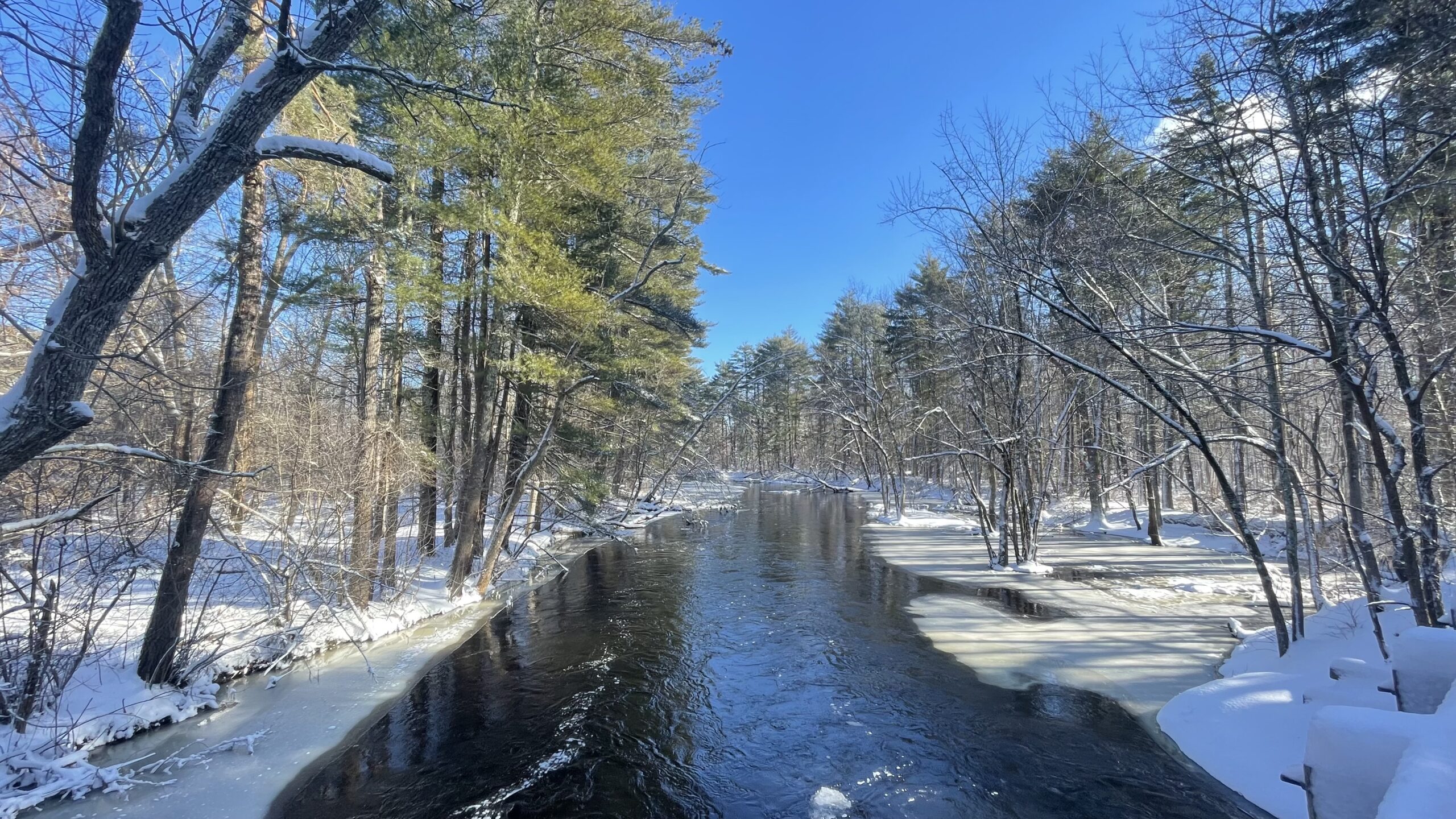 Major Court Victory For Our River! - Ipswich River Watershed Association