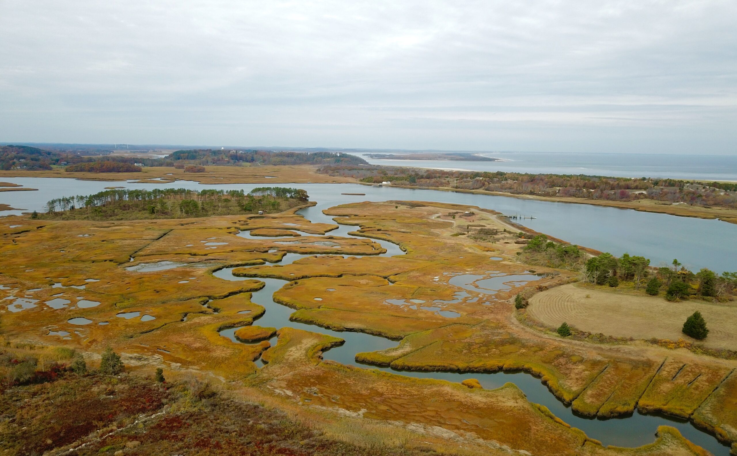 State Shellfish Agency Confirms: No Remaining Concerns For Clam Flats 